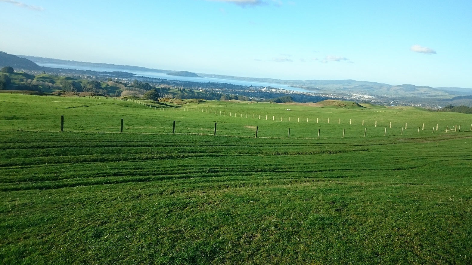 Te Paiaka Lands Trustbanner