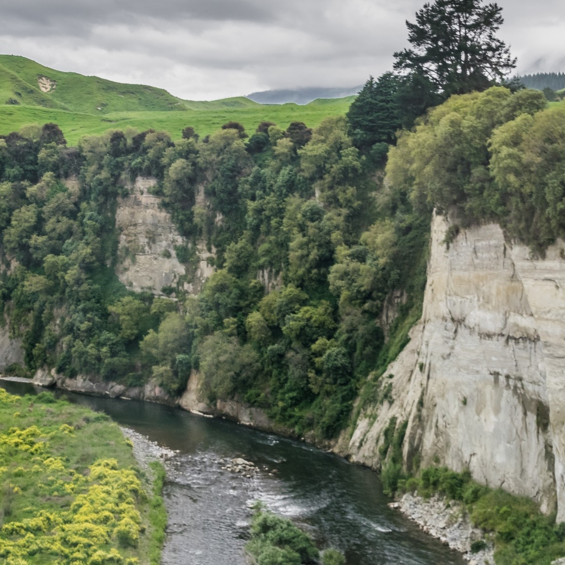 Mohaka River 1 1